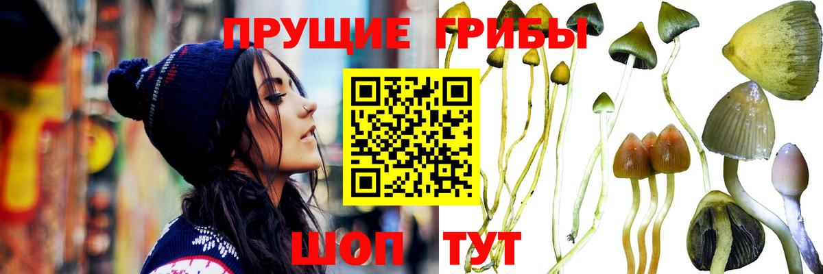 Стрежевой  Псилоцибиновые грибы ЛСД  Вход с VPN 
