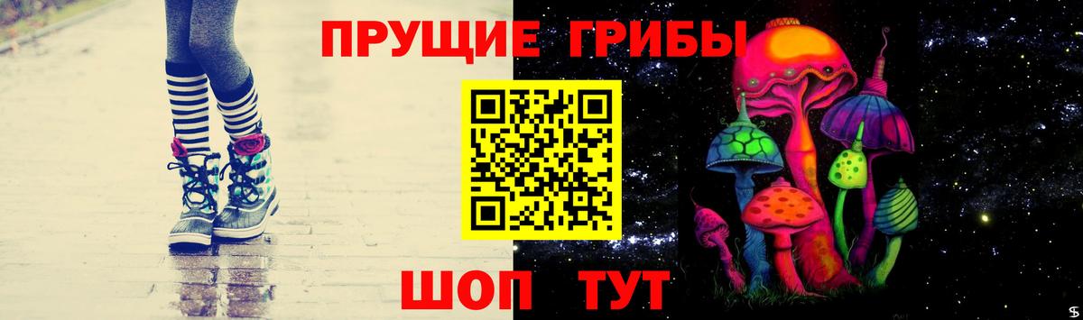Псилоцибиновые грибы Psilocybine cubensis Стрежевой